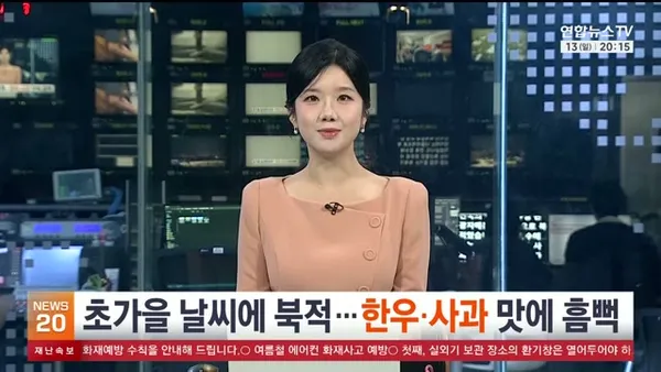 뉴스 19